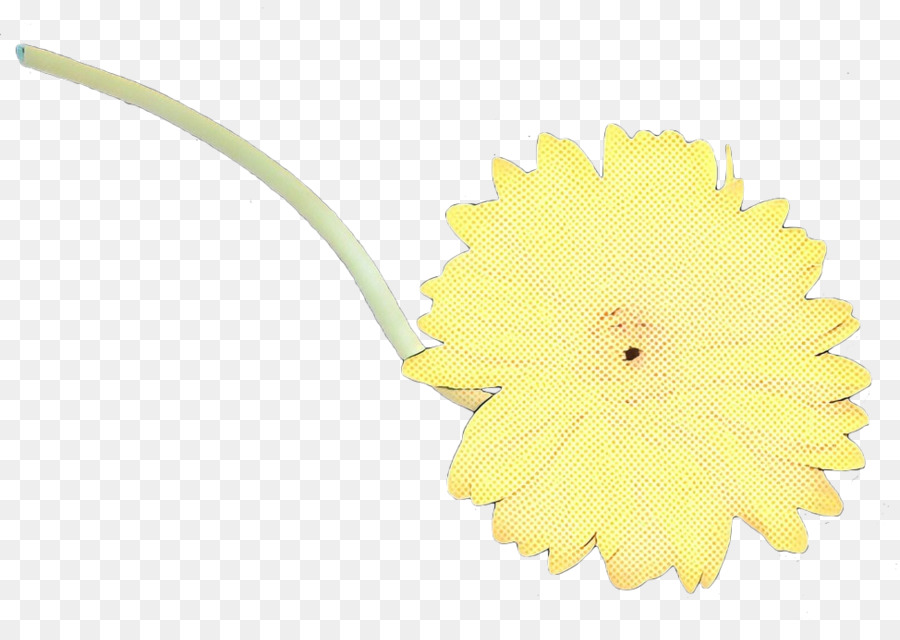 Transvaal Daisy，Amarelo PNG