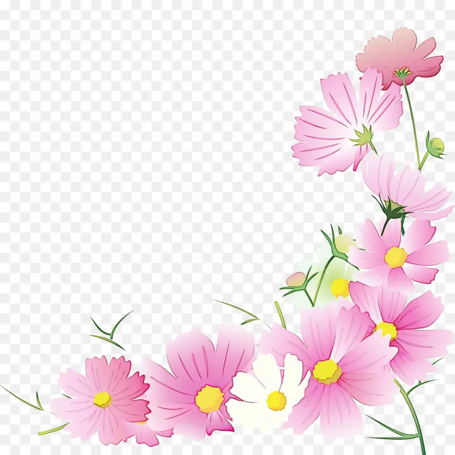 Flores Rosa，Florescer PNG