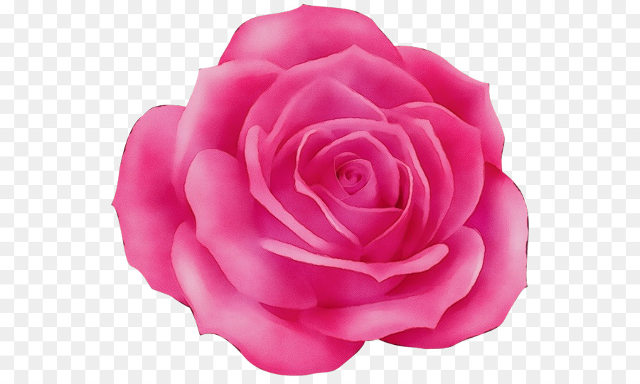 Rosa，Rosa Azul PNG