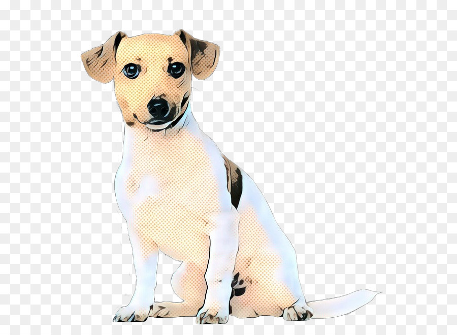 Raça Do Cão，Filhote De Cachorro PNG