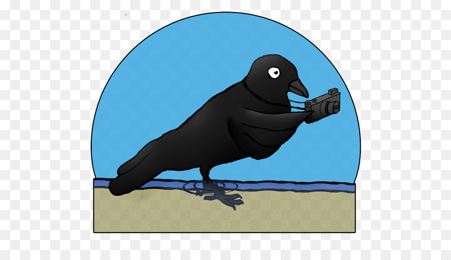 Remando A Gralha，Crow PNG