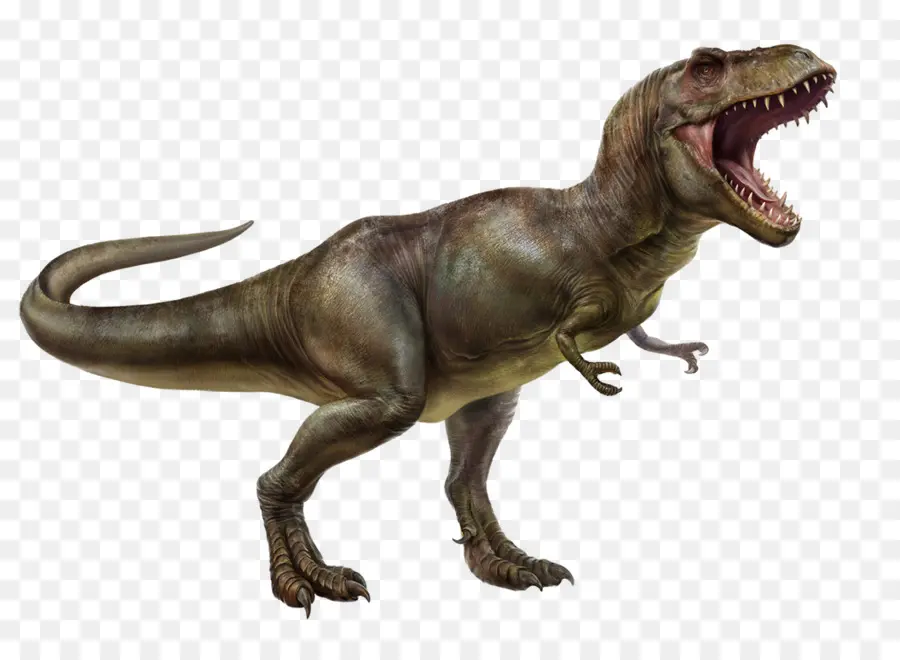 Tiranossauro Rex，Spinosaurus PNG