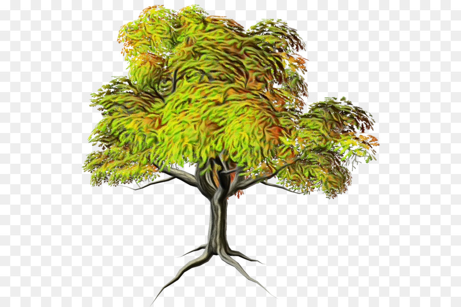 Ramos，árvore PNG