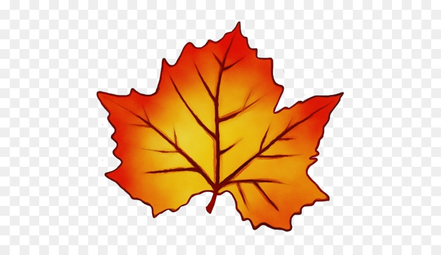 Maple Leaf，Folha PNG