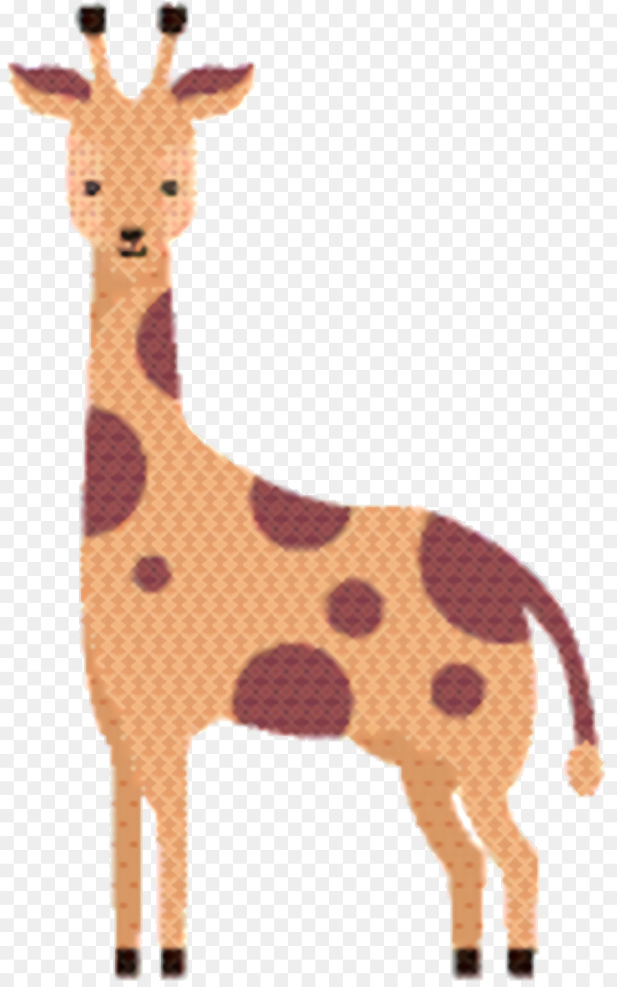 Girafa，Rena PNG
