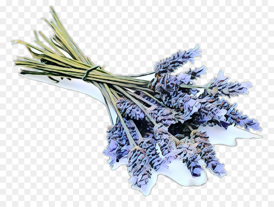 óleo De Lavanda，Inglês Lavanda PNG