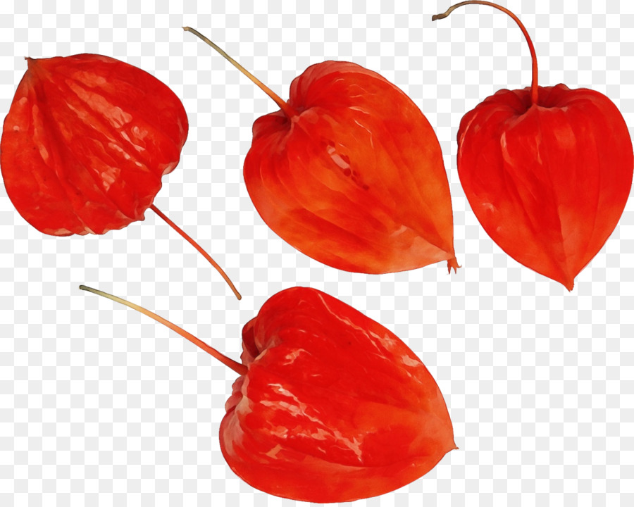 Habanero，Pimenta Piquillo PNG