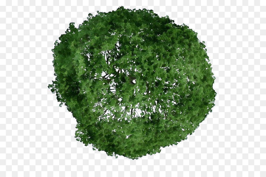Verdes，árvore PNG