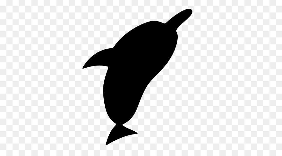 Dolphin，ícones Do Computador PNG