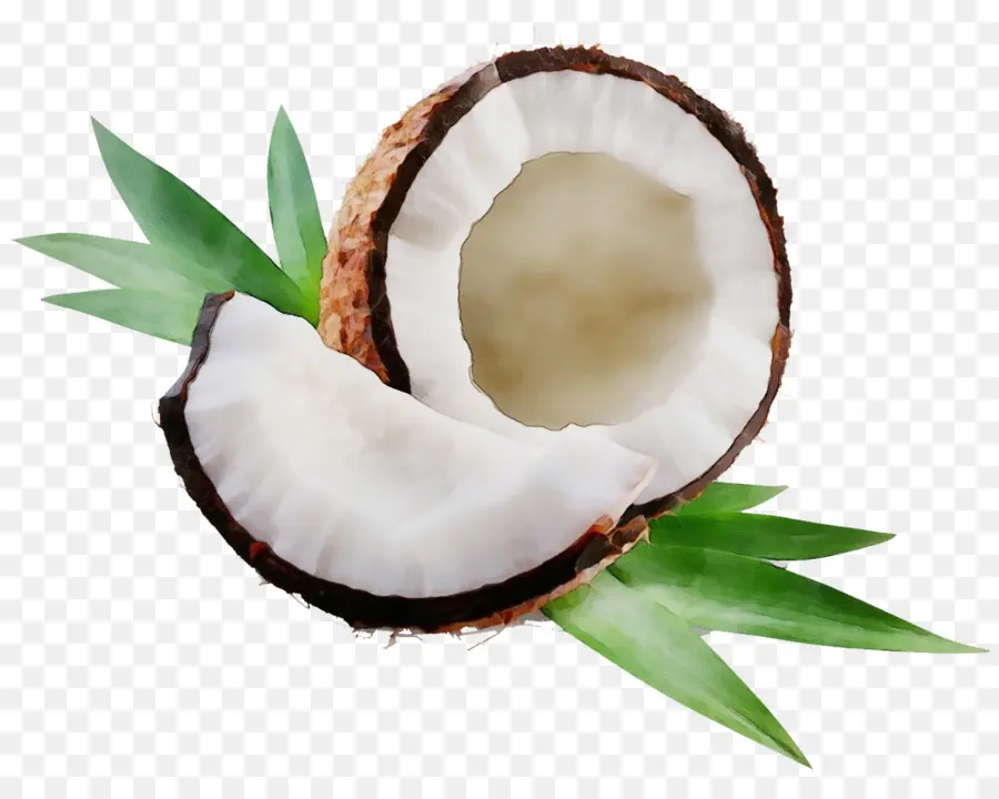 O óleo De Coco，óleo Puxando PNG