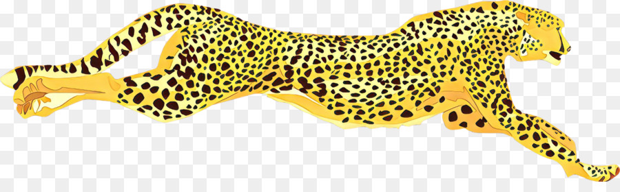 Cheetah，Desenho PNG