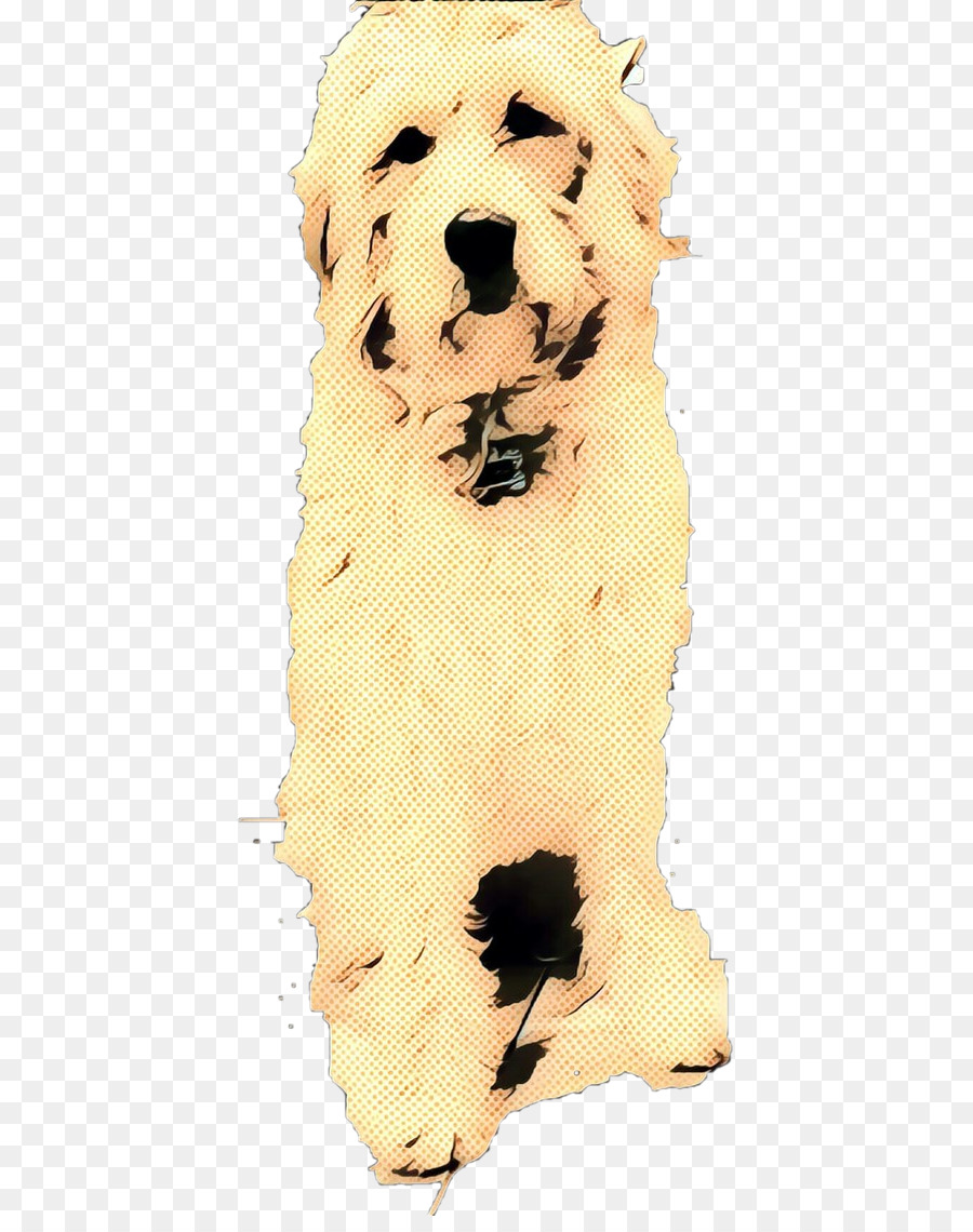 Golden Retriever，Filhote De Cachorro PNG