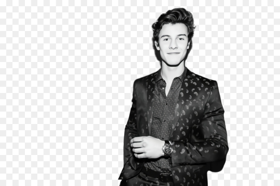 Shawn Mendes，Músico PNG