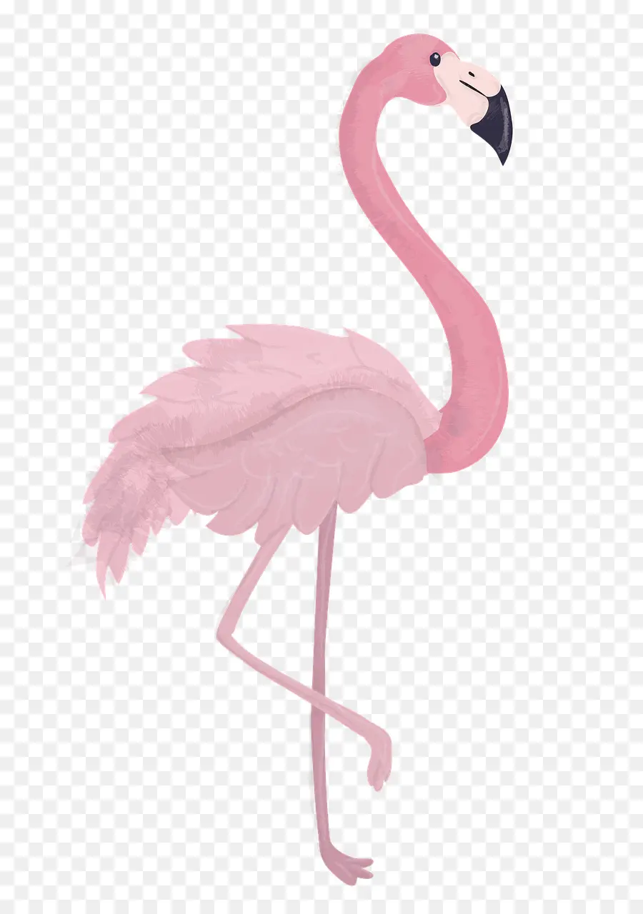Flamingo，Christmas Day PNG