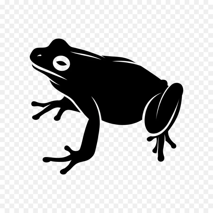 Toad，Sapo PNG