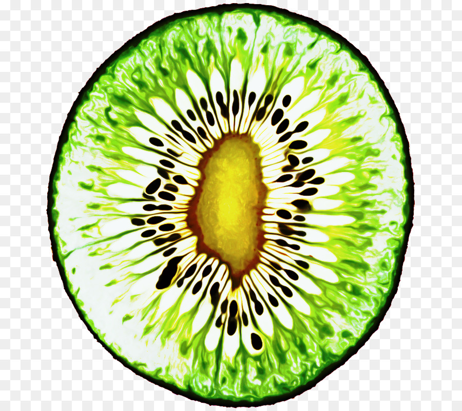 Fatia De Kiwi Verde，Fresco PNG