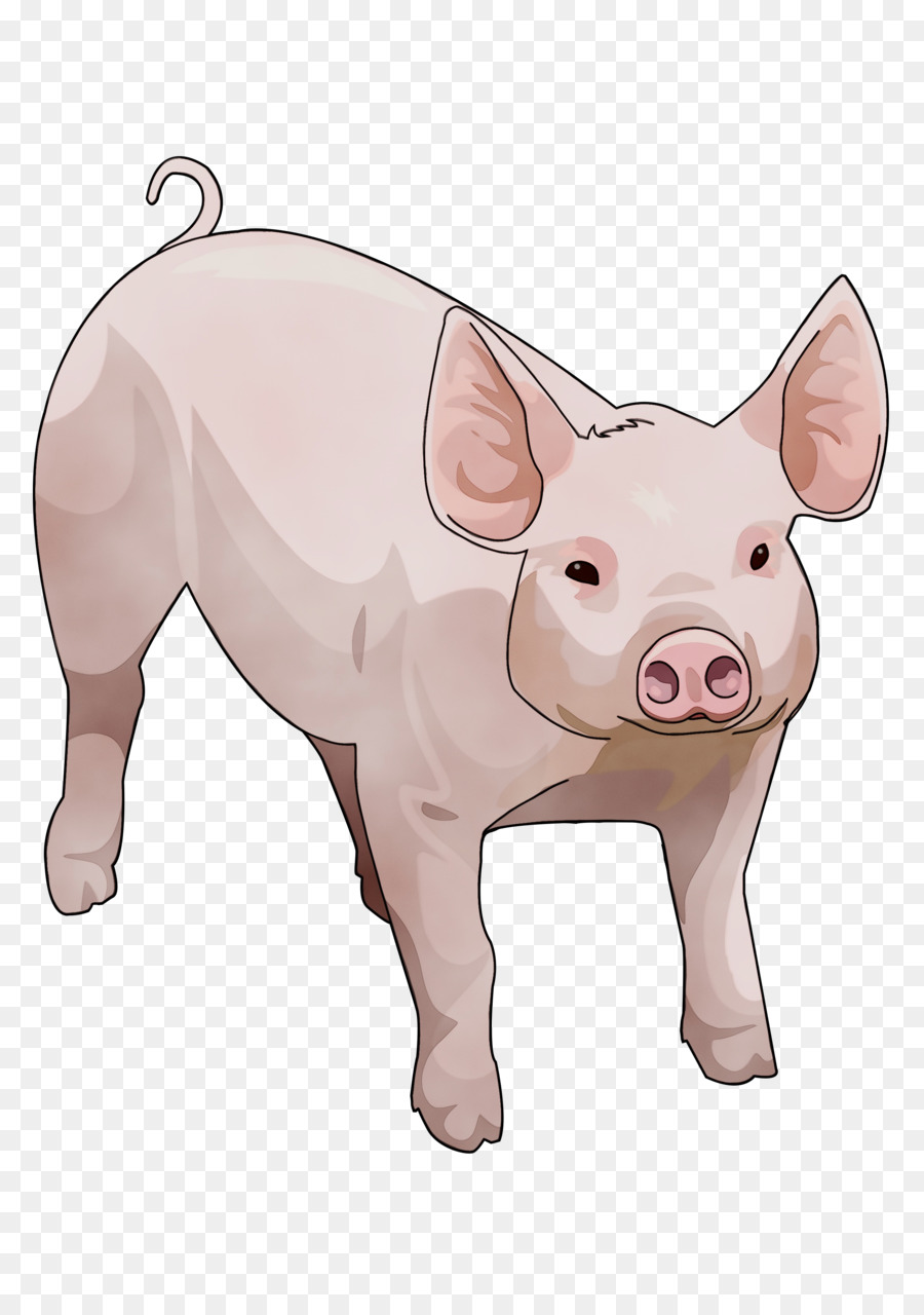 Porco，Fazenda PNG