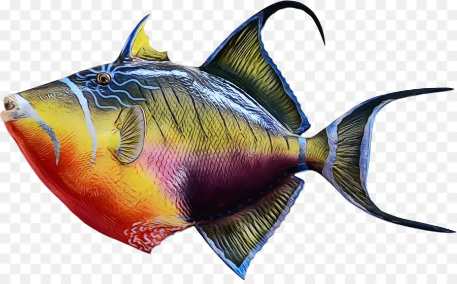Subaquático，Peixe PNG