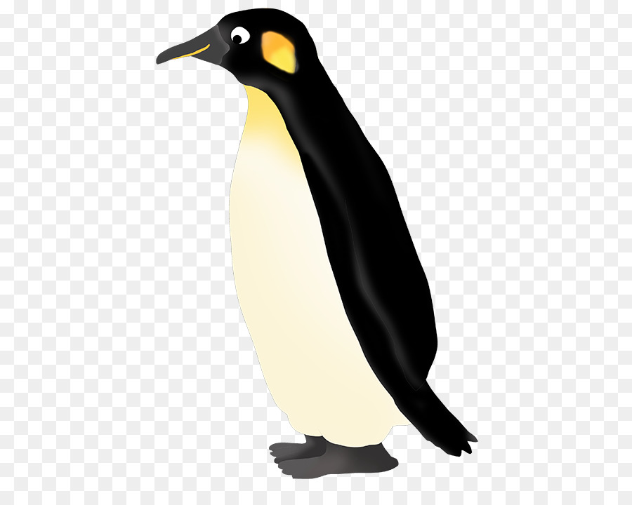 Penguin，Pinguim Rei PNG