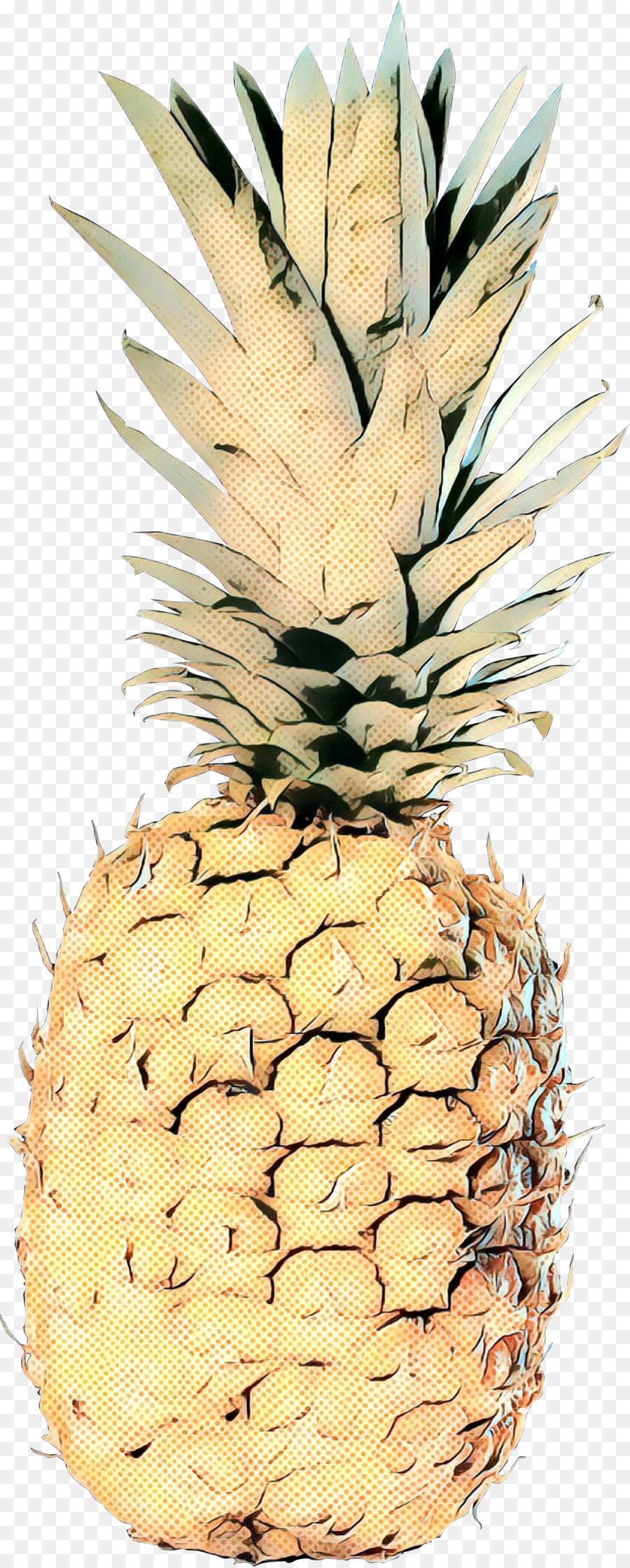 Abacaxi，Ananas PNG