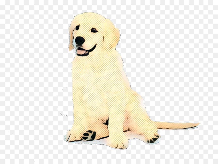 Golden Retriever，Labrador Retriever PNG