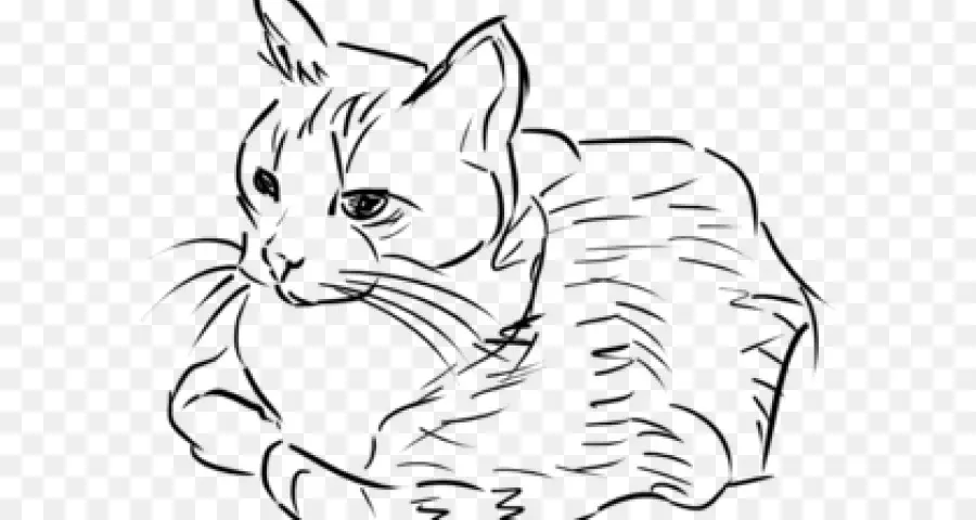 Gato，Desenho PNG