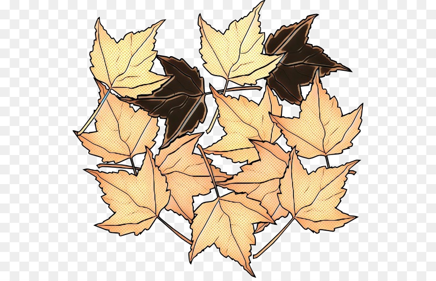Maple Leaf，Simetria PNG