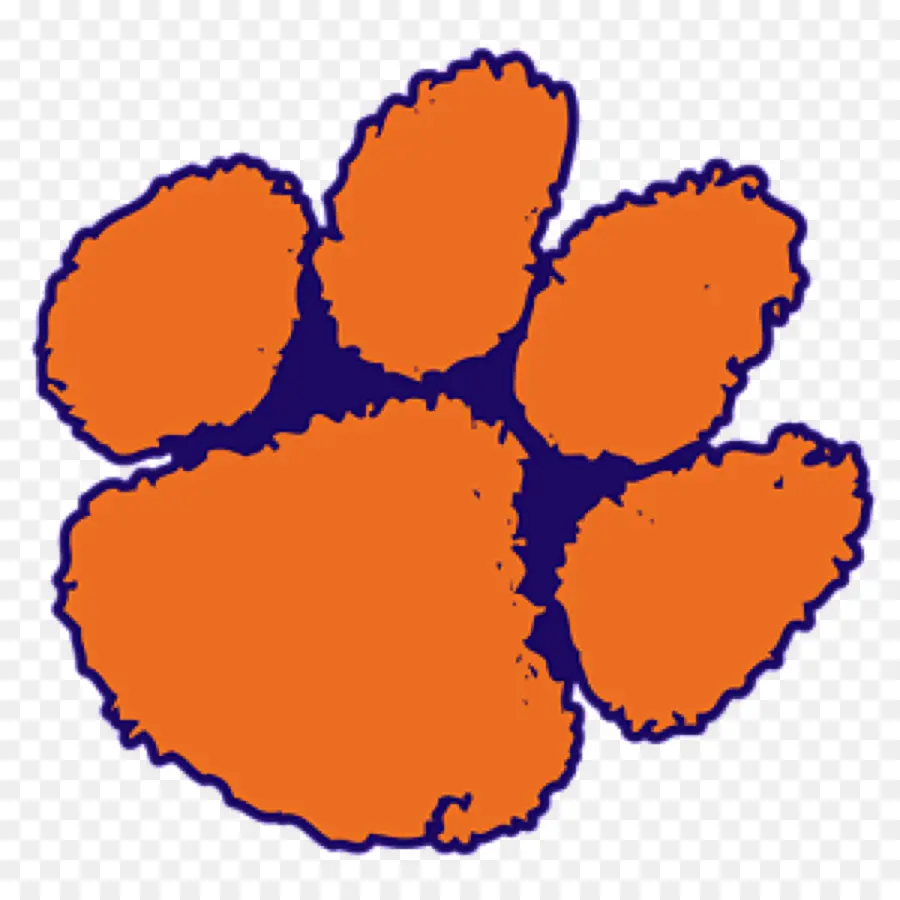 Universidade De Clemson，Clemson Tigers Futebol PNG