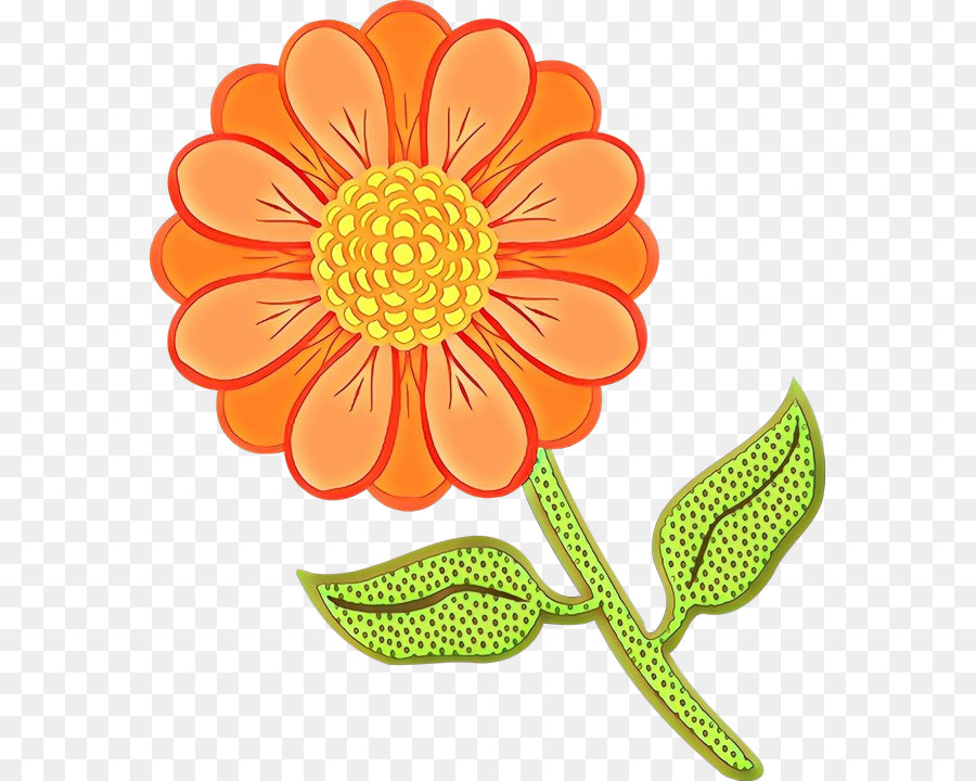 Flor，Cor PNG