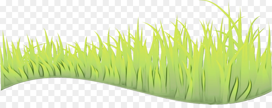 Wheatgrass，Vetiver PNG