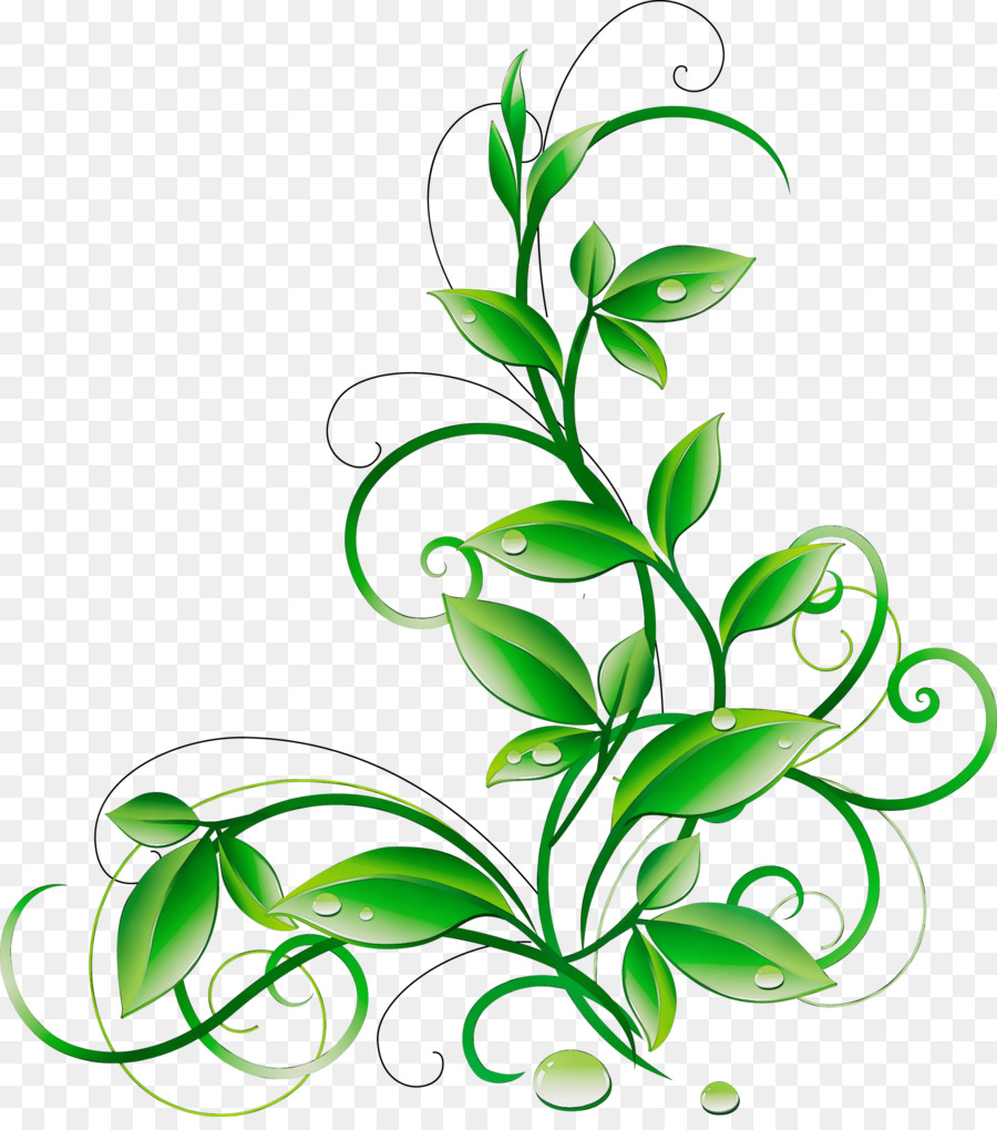 Planta Abstrata，Folhas PNG