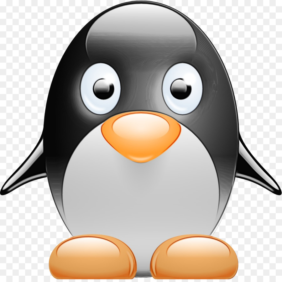 Penguin，Aves PNG