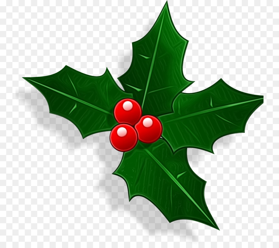 Christmas Day，Americana Holly PNG