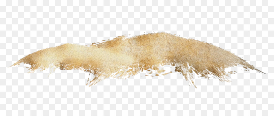 Canidae，Cachorro PNG