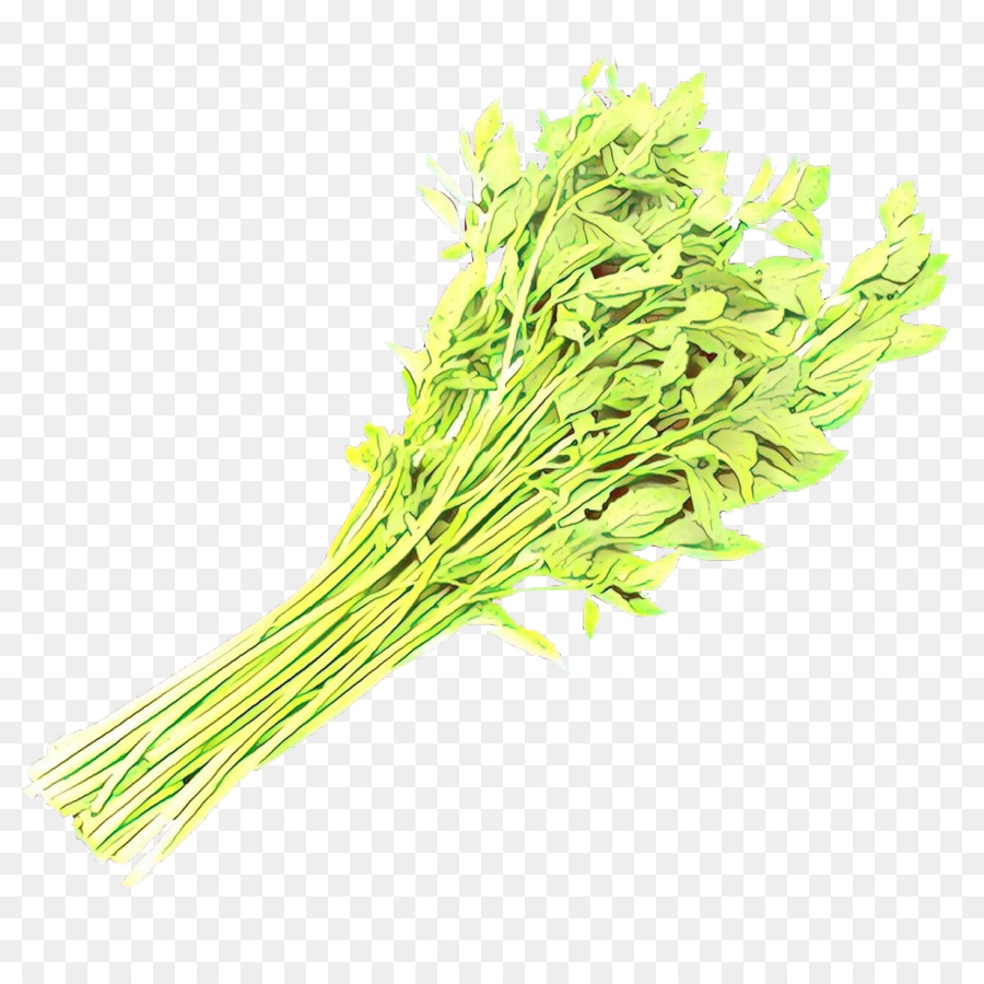 Verdes，Erva Doce PNG