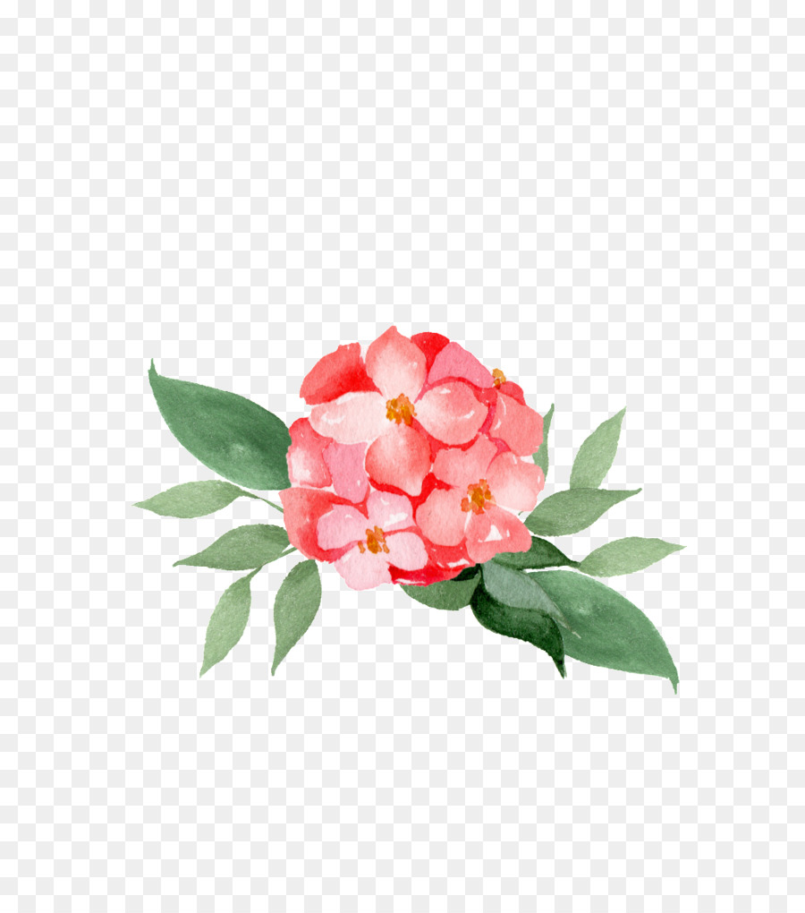 Flor，Desenho Floral PNG
