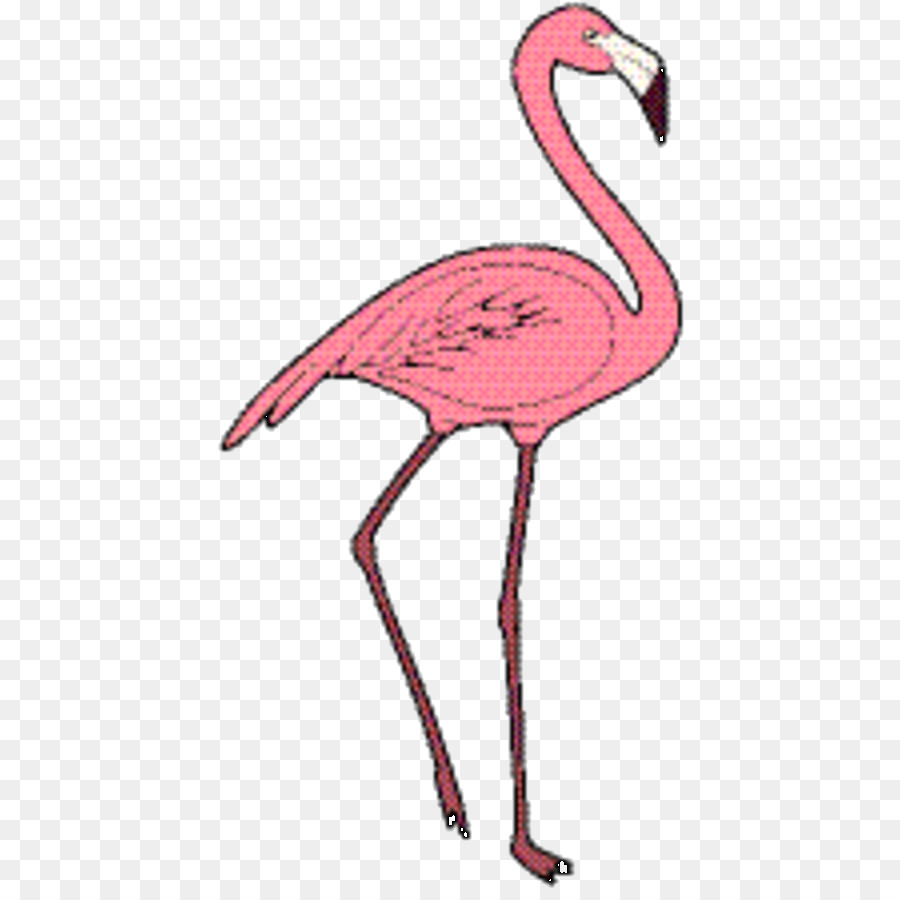 Flamingo Rosa，Pássaro PNG