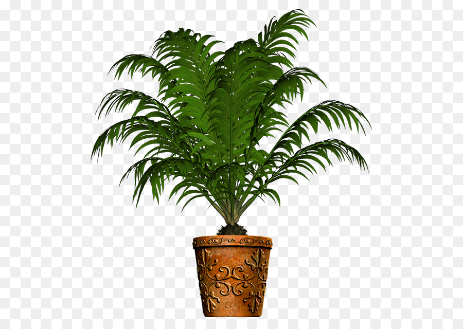 Plantar，Verde PNG