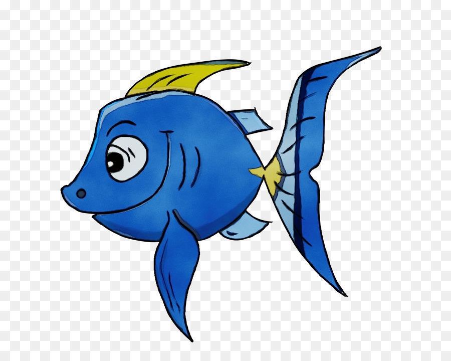 Peixe，Betta PNG