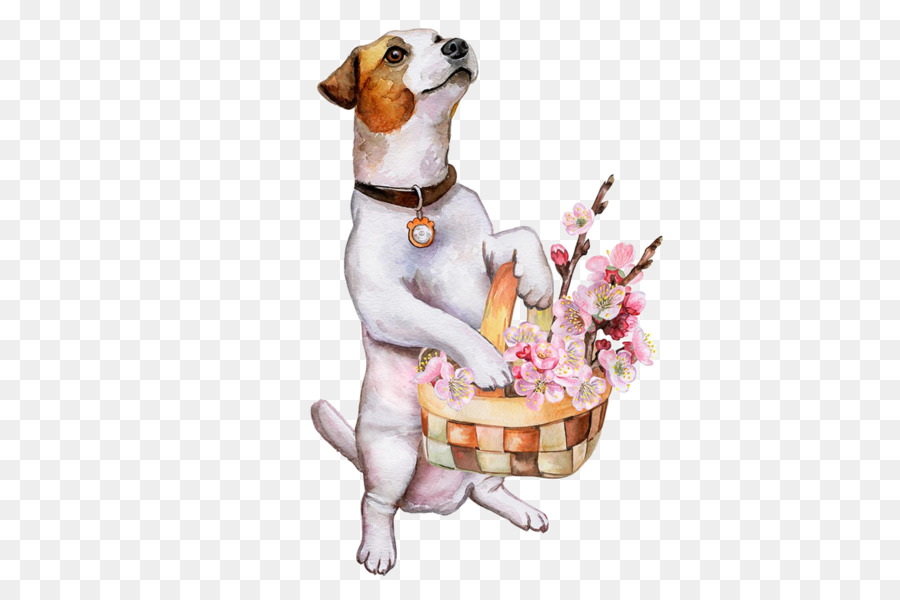 Jack Russell Terrier，Filhote De Cachorro PNG