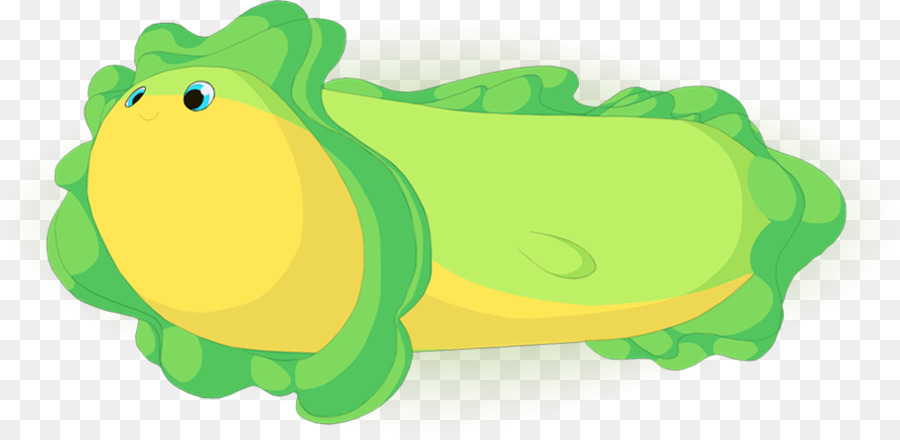 Tree Frog，Desenho PNG