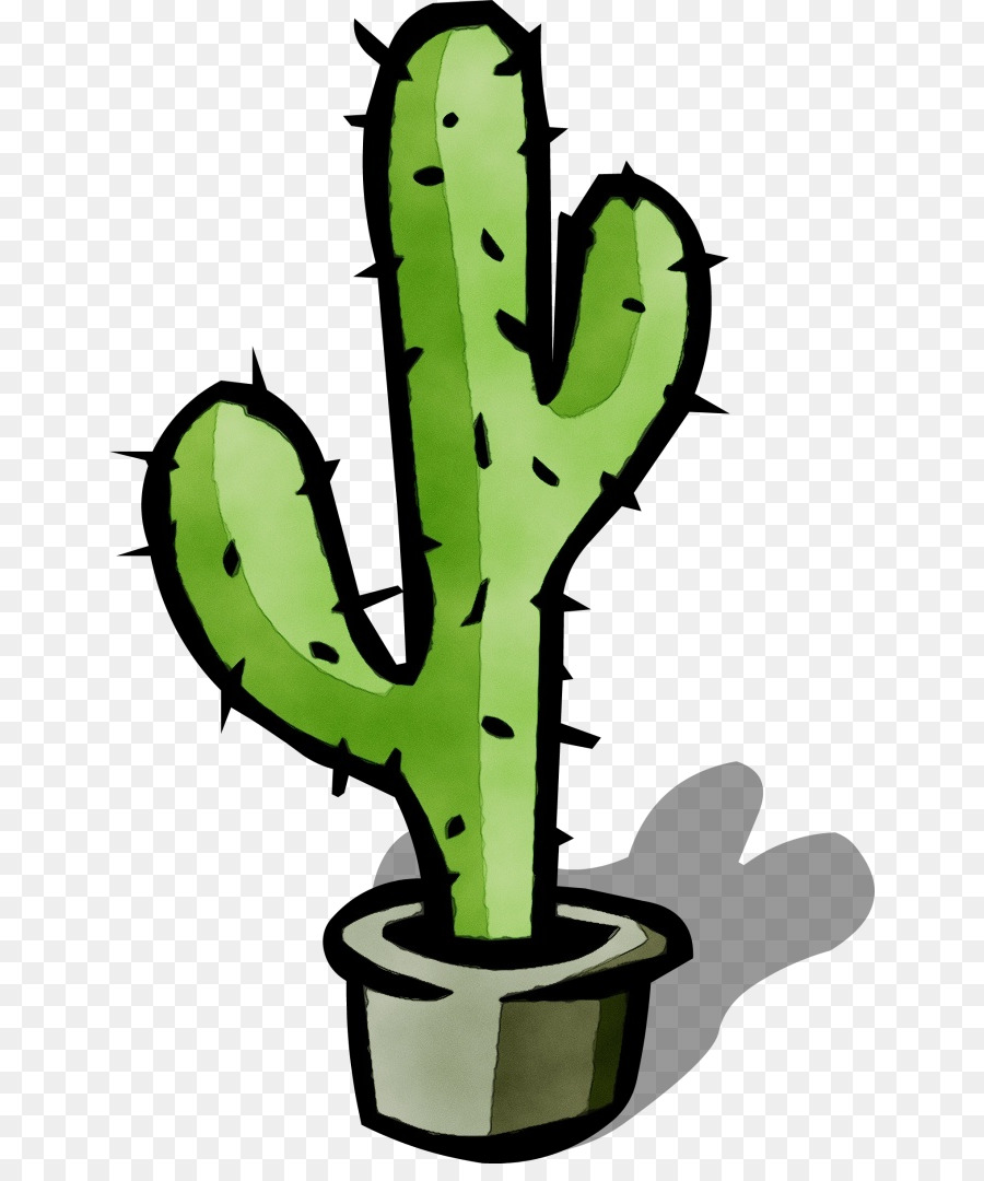 Cactus，Plantas PNG