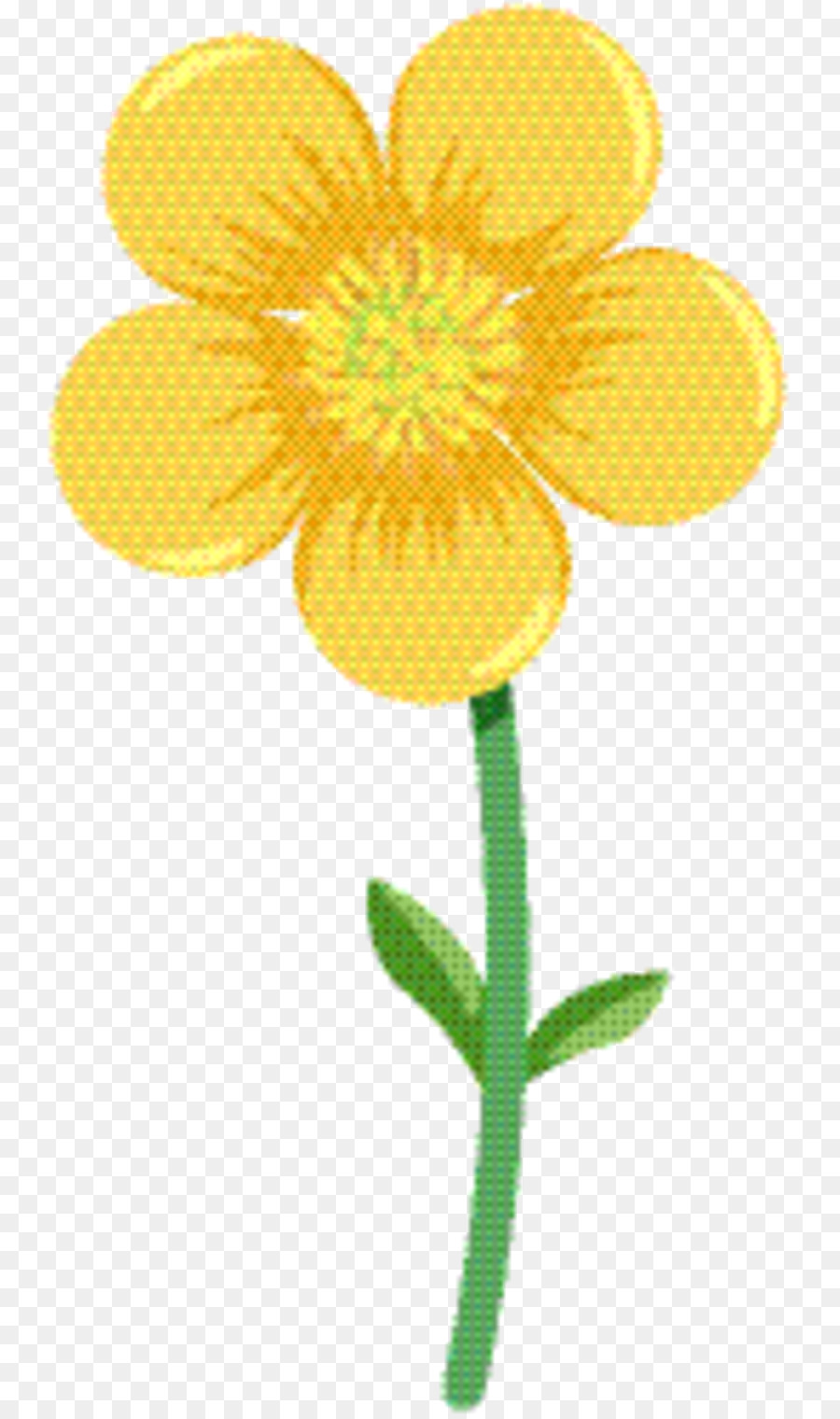 Amarelo，Flores De Corte PNG