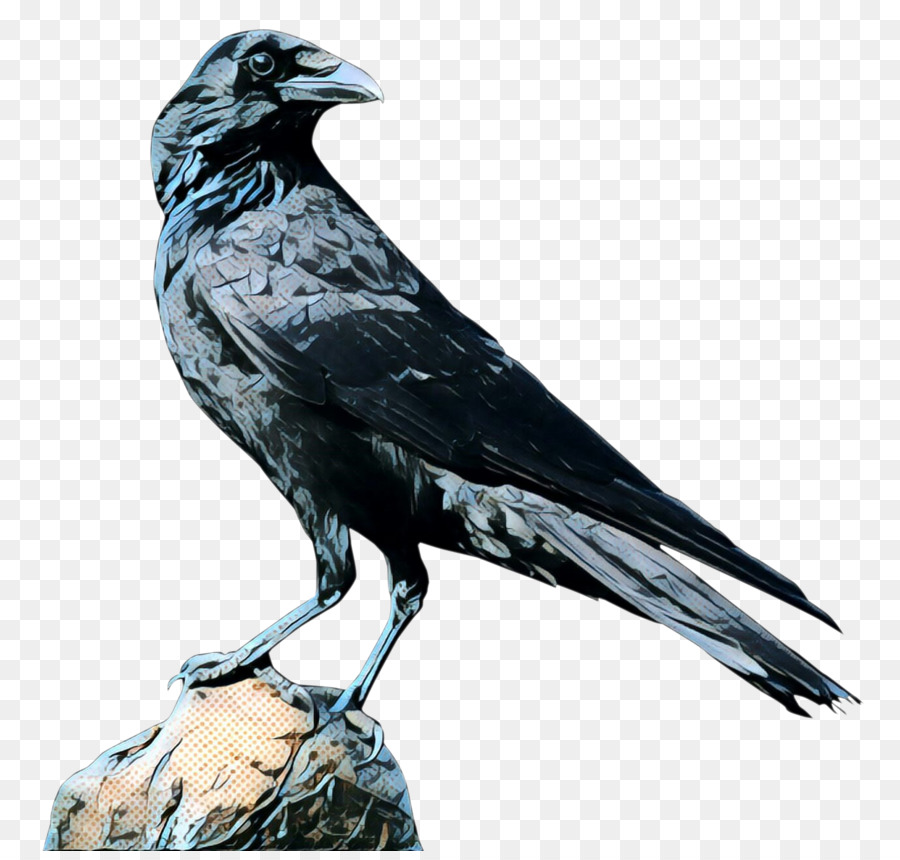 Crow，Download PNG