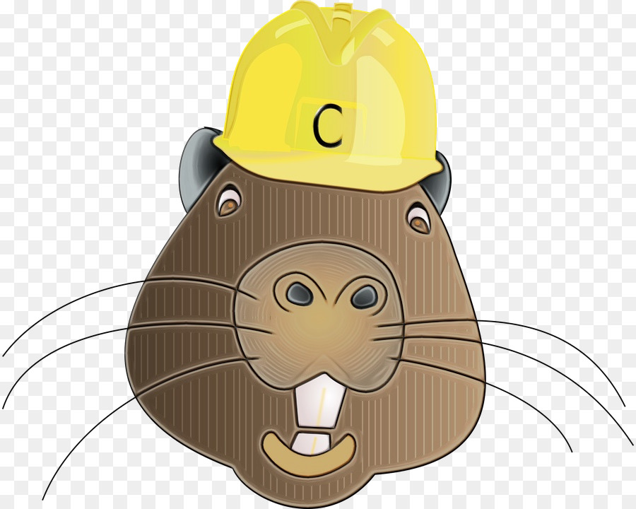 Castor Com Capacete，Construção PNG