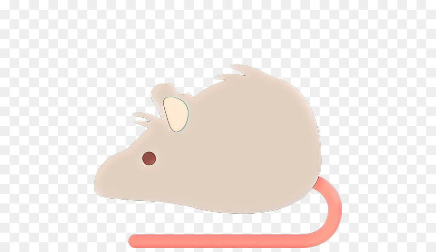 Rato Cinzento，Bonitinho PNG