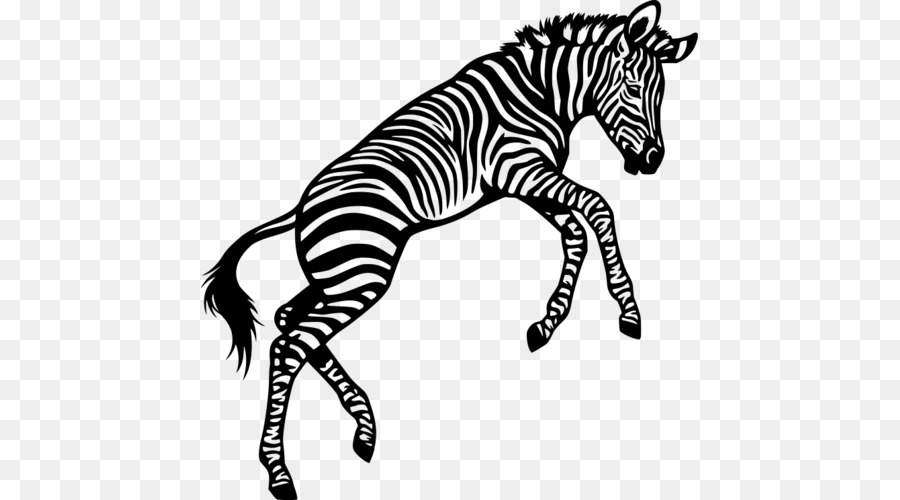 Zebra，Arte PNG