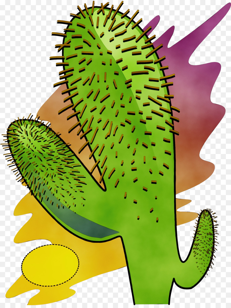 Deserto，Cactus PNG