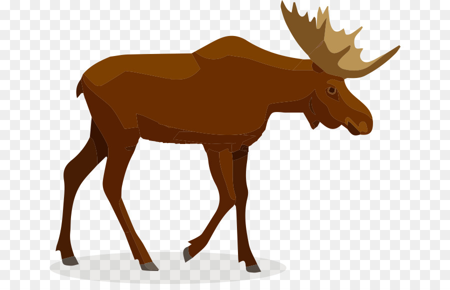 Moose，Fotografia De Stock PNG