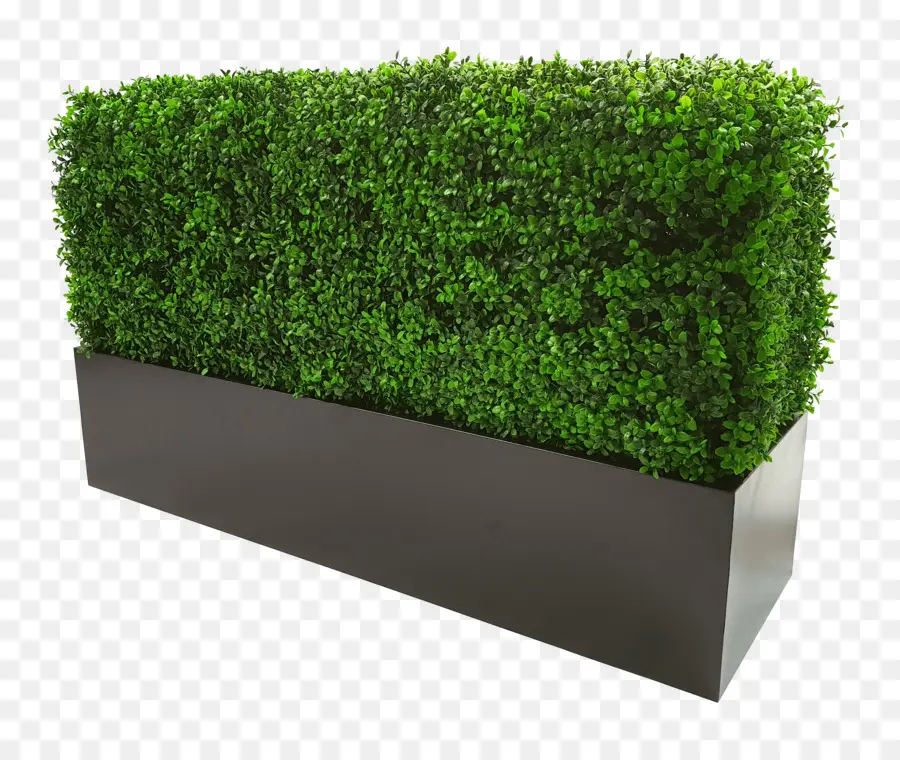 Hedge，Topiary PNG